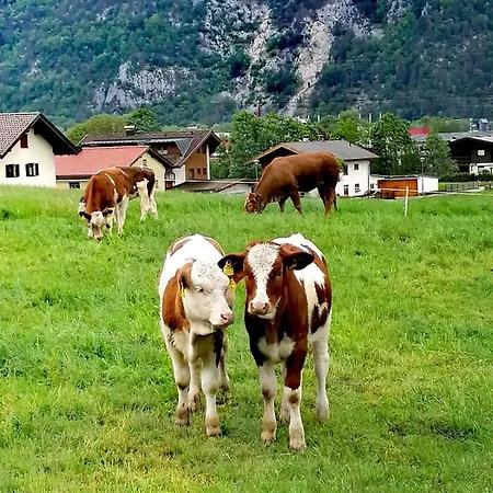 In * Buch bei Jenbach