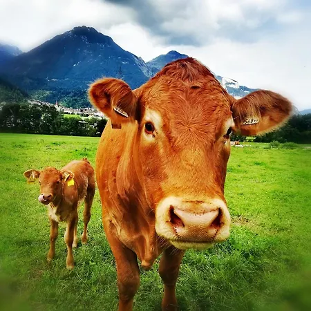 Apartmán In Buch bei Jenbach