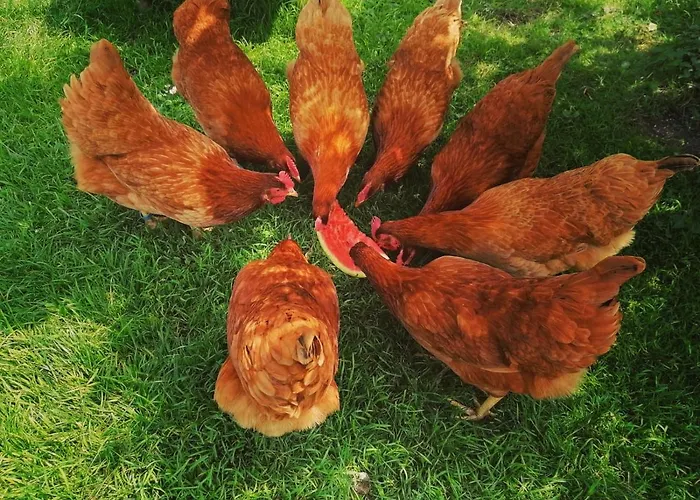 Apartmán In Buch bei Jenbach