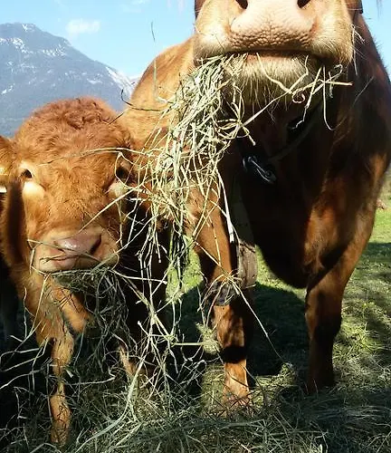 Appartement In Buch bei Jenbach