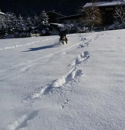 In 公寓 布赫拜延巴赫