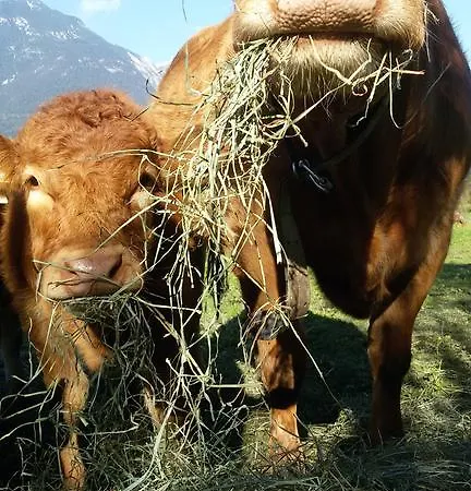 公寓 In 布赫拜延巴赫