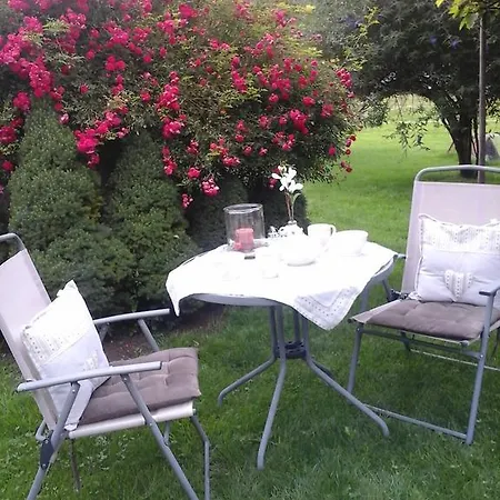 In 布赫拜延巴赫