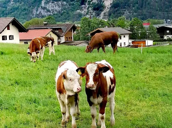 In * Buch bei Jenbach