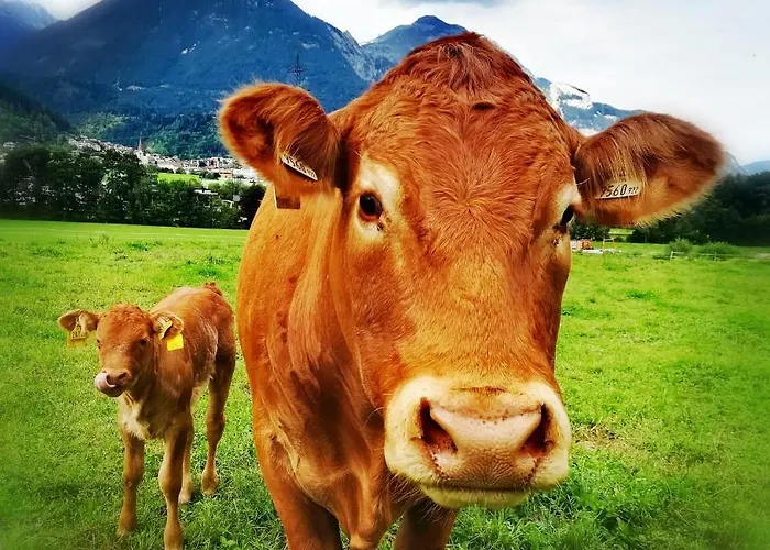 アパート In Buch bei Jenbach